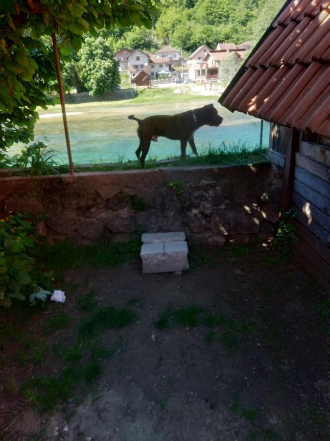 Apartamento Alfa Kulen Vakuf Exterior foto