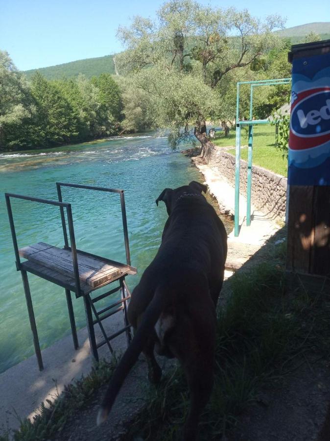 Apartamento Alfa Kulen Vakuf Exterior foto